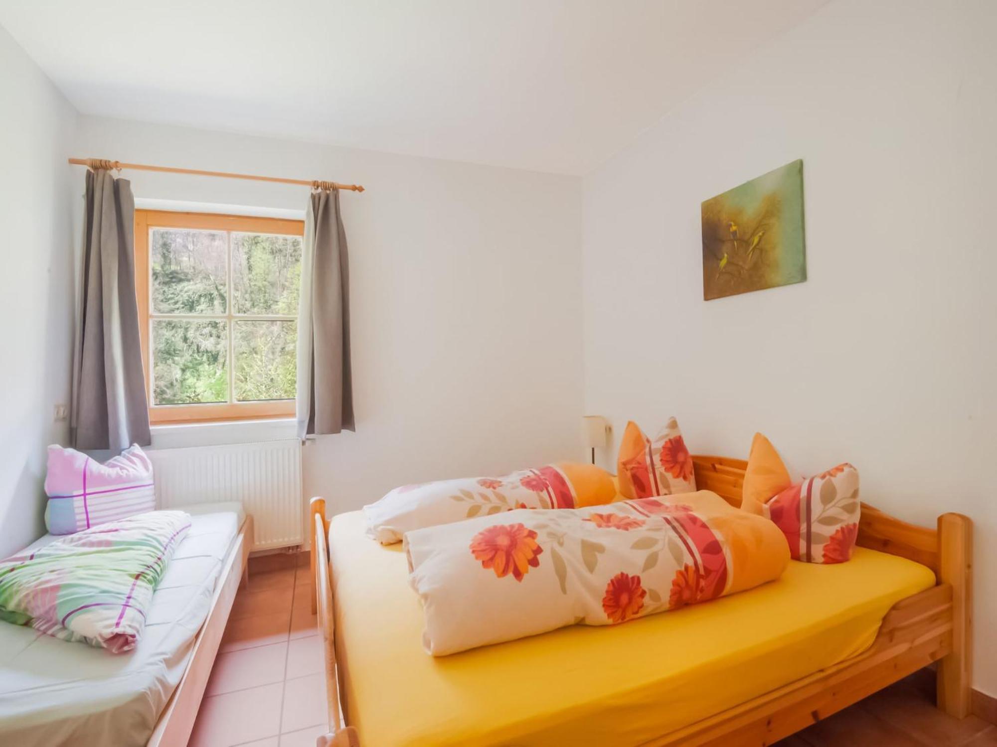 Apartment Comfortable In With Garden Mayrhofen