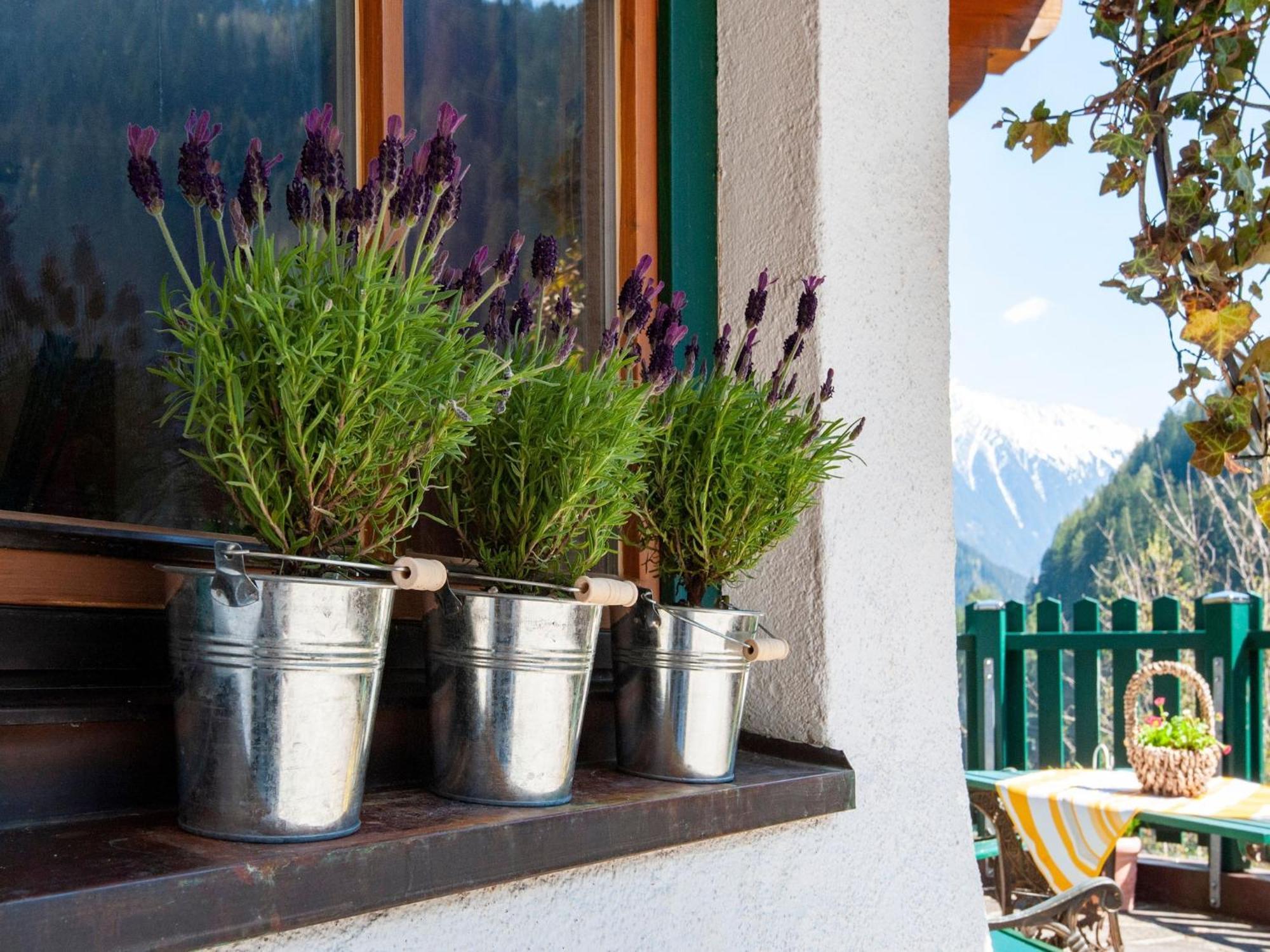 Apartment Comfortable In With Garden *