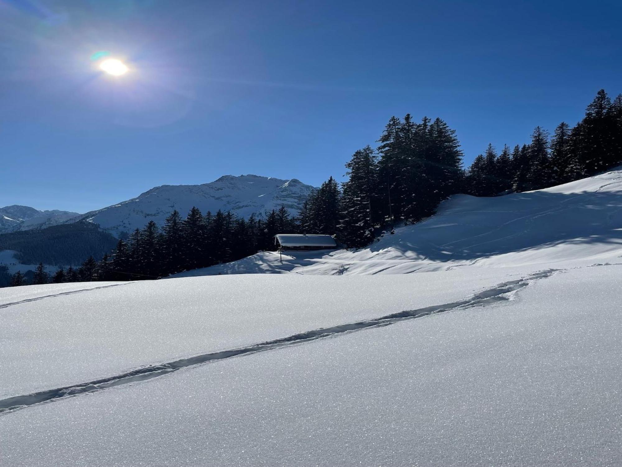 Comfortable In With Garden * Mayrhofen